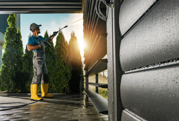 Best Graffiti Removal  in Vamo, FL