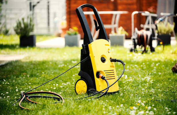 Best Pre-Holiday Cleaning  in Vamo, FL